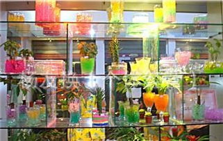 水晶泥与海洋宝宝的魅力 无土栽培花卉的新颖与批发零售全指南